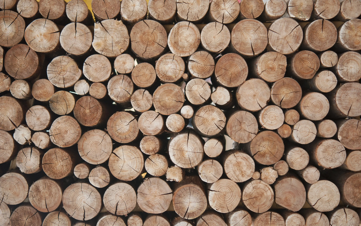 Four Best Types of Wood to Smoke Food